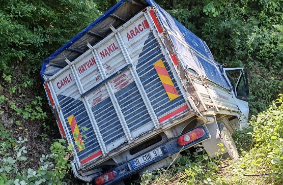 Balıkesir’in Manyas ilçesine bağlı Ören Mahallesi’nde meydana gelen trafik kazasında