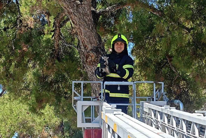 Balıkesir itfaiyesinden kedi kurtarma operasyonu Balıkesir İtfaiye Daire Başkanlığına bağlı itfaiye ekipleri Balıkesir genelinde 2