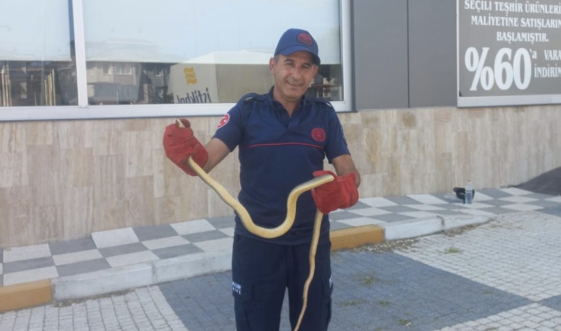 Balıkesir’in Gönen ilçesinde bir aracın motor kısmına giren yılan, paniğe