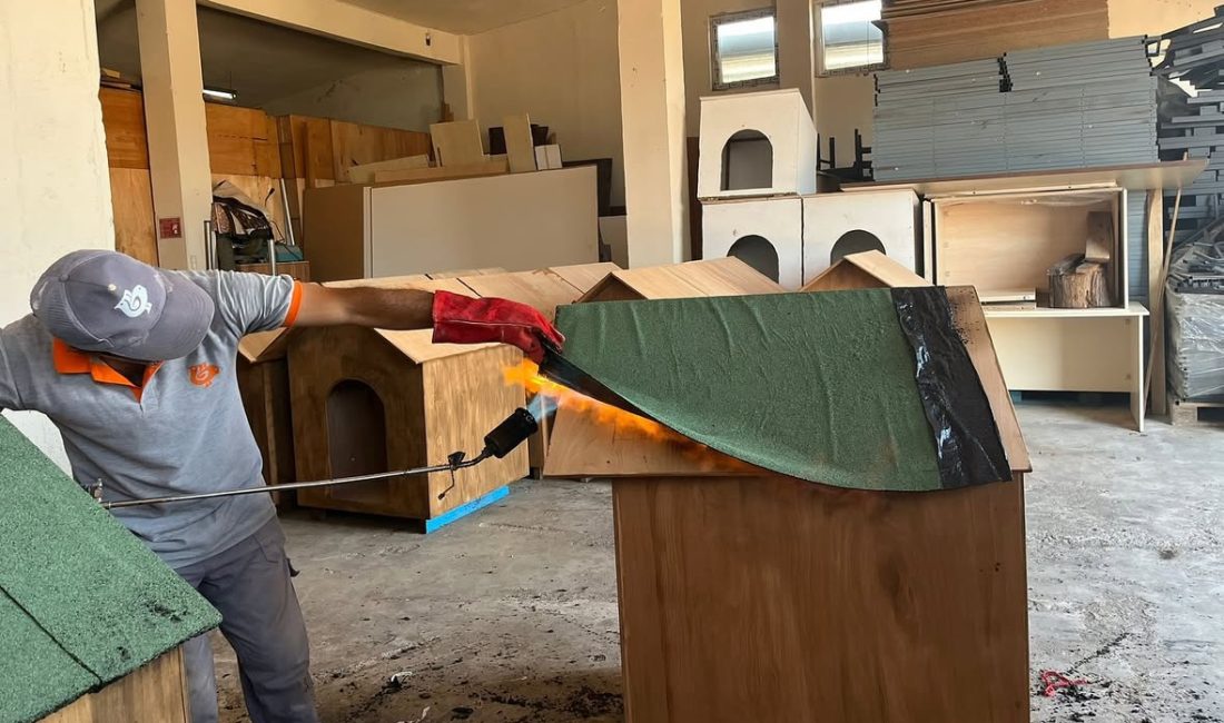 Bandırma Belediyesi’nden sokak hayvanlarına doğal yaşam alanı Bandırma Belediyesi, sokakta yaşayan hayvanların barınma ihtiyacını karşılamak amacıyla doğal