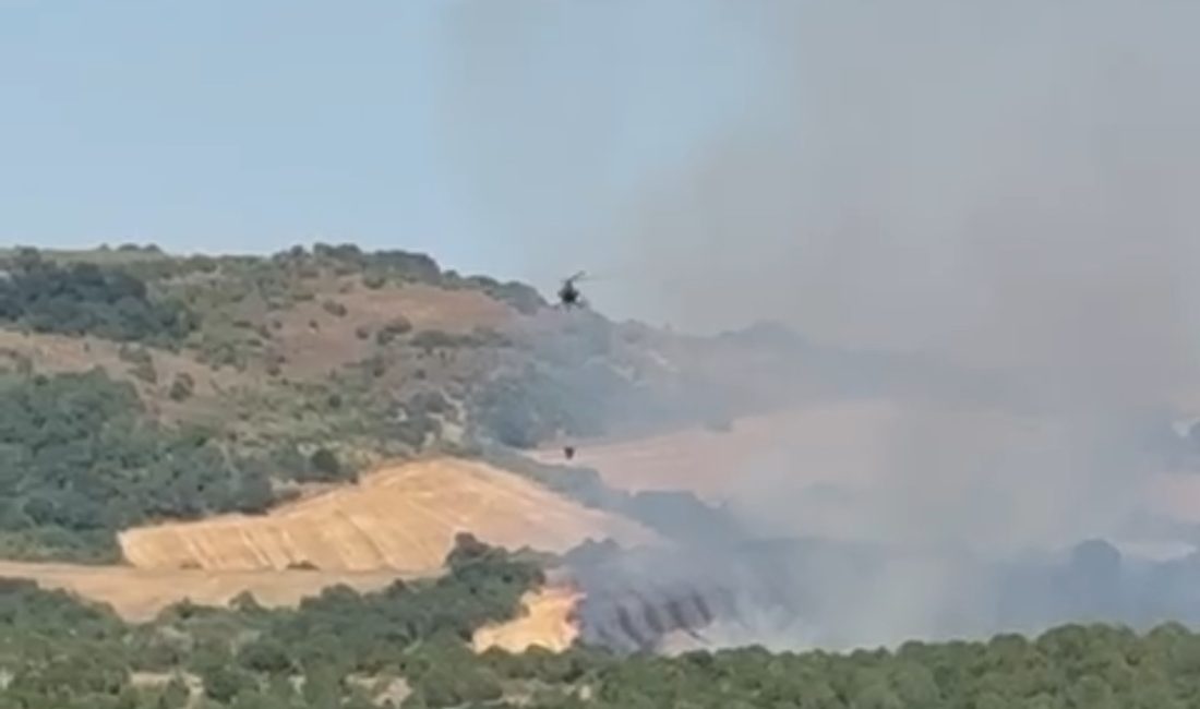 Manyas’ta orman yangını: Havadan müdahale sürüyor Balıkesir’in Manyas ilçesi Doğancı kırsal mahallesi yakınlarında ormanlık alanda çıkan