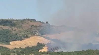 Balıkesir’in Manyas ilçesi Doğancı kırsal mahallesi yakınlarında ormanlık alanda çıkan