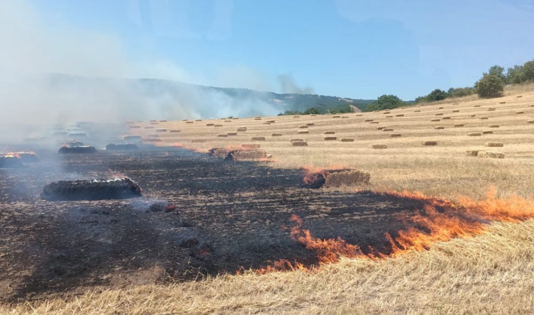  Balıkesir’in Manyas ilçesine bağlı Çakırca Mahallesi’nde çıkan anız, saman