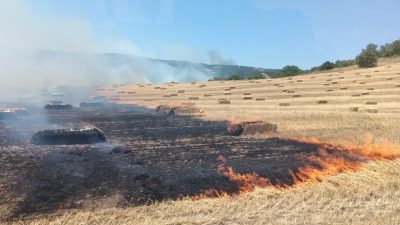  Balıkesir’in Manyas ilçesine bağlı Çakırca Mahallesi’nde çıkan anız, saman