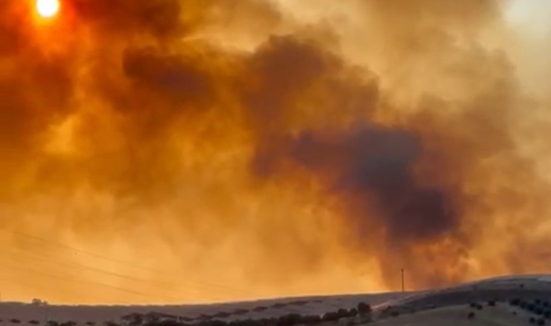 Bandırma OSB bölgesindeki arazi yangınına havadan ve karadan müdahale Balıkesir’in Bandırma ilçesinde, Organize Sanayi Bölgesi (OSB) yakınlarında çıkan arazi