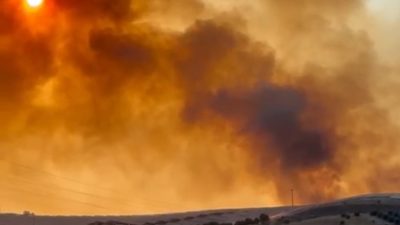 Balıkesir’in Bandırma ilçesinde, Organize Sanayi Bölgesi (OSB) yakınlarında çıkan arazi