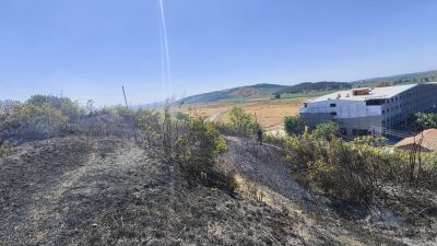 Balıkesir’in Susurluk ilçesine bağlı Ilıcaboğazı Mahallesi’nde çalılık alanda çıkan yangın,