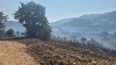 Balıkesir’in Gönen ilçesi Kumköy ile Ilıca Mahallesi arasında çıkan arazi