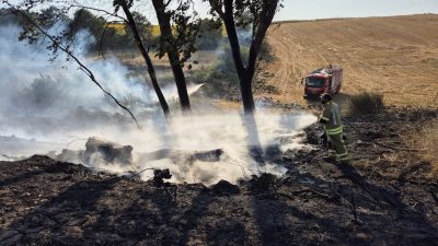  Balıkesir’in Gönen ilçesi Saraçlar Mahallesi kırsalında meydana gelen