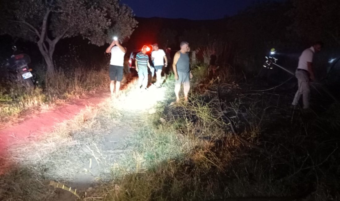 Erdek’te böğürtlenlik alanda çıkan yangın söndürüldü Balıkesir’in Erdek ilçesi Sahil Mahallesi Kabak Tarla mevkisinde çıkan arazi
