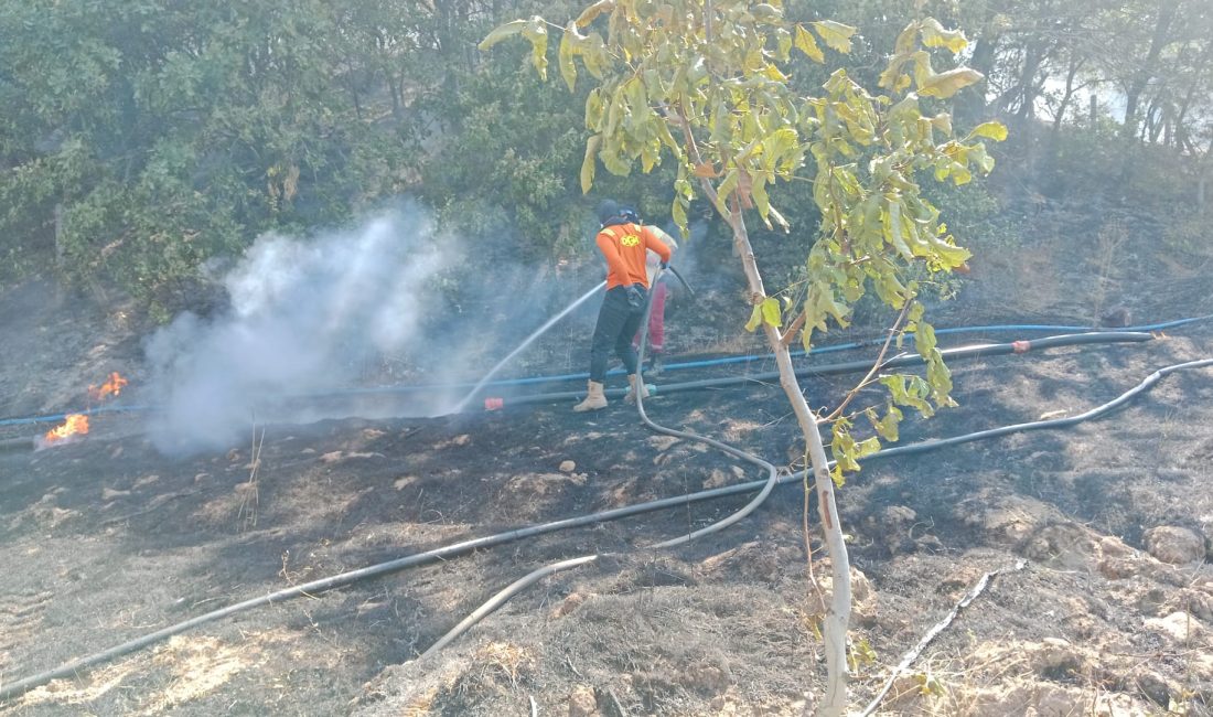Gönen’de çıkan yangına ekipler müdahale etti Balıkesir'in Gönen ilçesine bağlı Kalburcu kırsal mahallesinde meydana gelen yangına