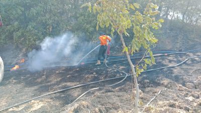 Balıkesir'in Gönen ilçesine bağlı Kalburcu kırsal mahallesinde meydana gelen yangına