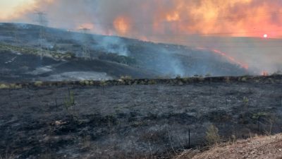 Balıkesir’in Bandırma ilçesinde Organize Sanayi Bölgesi (OSB) yakınlarında çıkan arazi