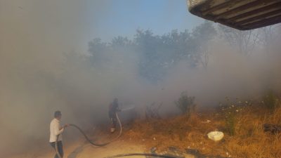 Balıkesir’in Bandırma ilçesi Aksakal Mahallesi’nde otluk alanda çıkan yangın, Bandırma