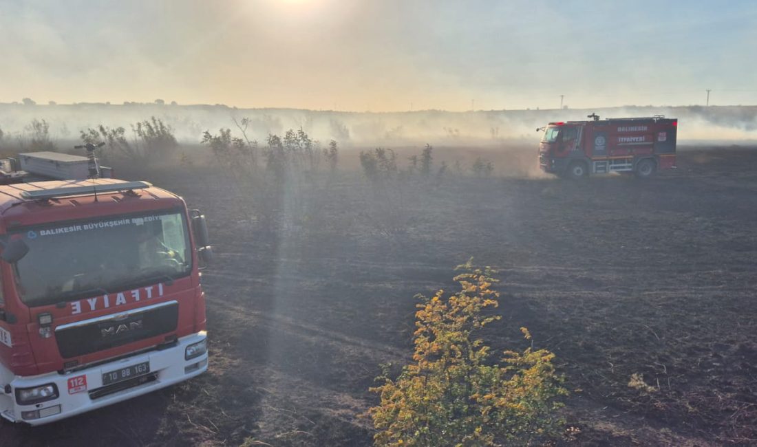 Balıkesir’in Susurluk ilçesinde Okçugöl ile Muradiye mahalleleri arasında çıkan yangına