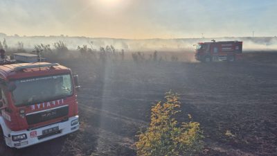 Balıkesir’in Susurluk ilçesinde Okçugöl ile Muradiye mahalleleri arasında çıkan yangına