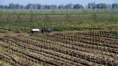 Balıkesir'in Tahirova Sulama Sahası, Balıkesir Sulama Birliği'nin hatalı planlama ve