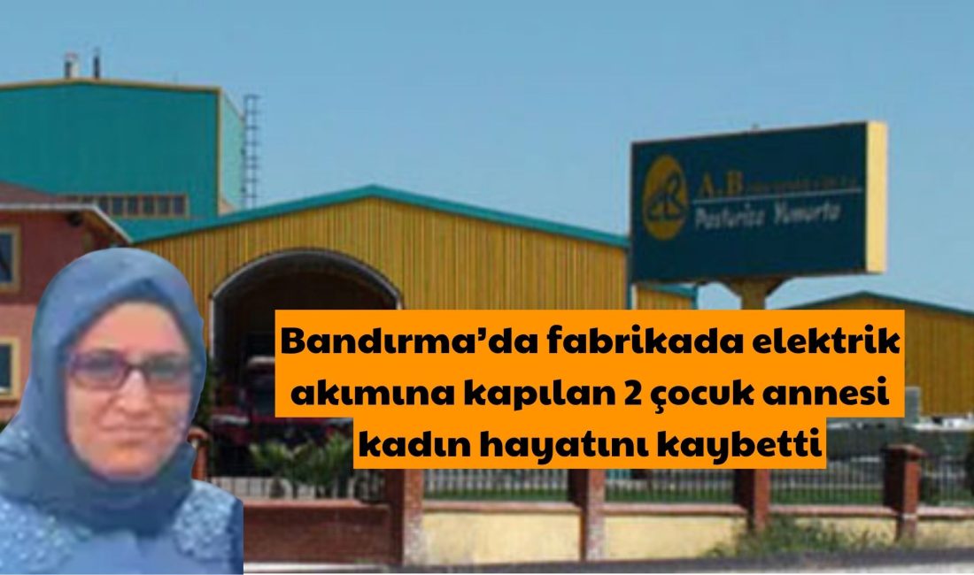 Balıkesir’in Bandırma ilçesine bağlı Aksakal Mahallesi’nde faaliyet gösteren A.B. Gıda
