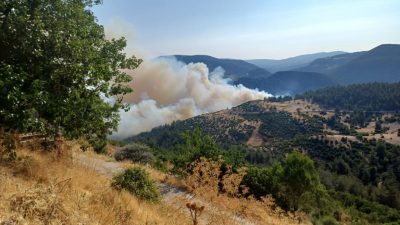 Bursa’nın Büyükorhan ilçesi ile Balıkesir’in Dursunbey ilçesi arasında başlayan yangını