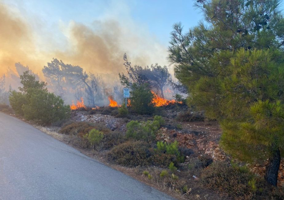 Balıkesir’in Ayvalık ilçesi Cunda (Alibey) Adası’nda çıkan orman yangını, ekiplerin