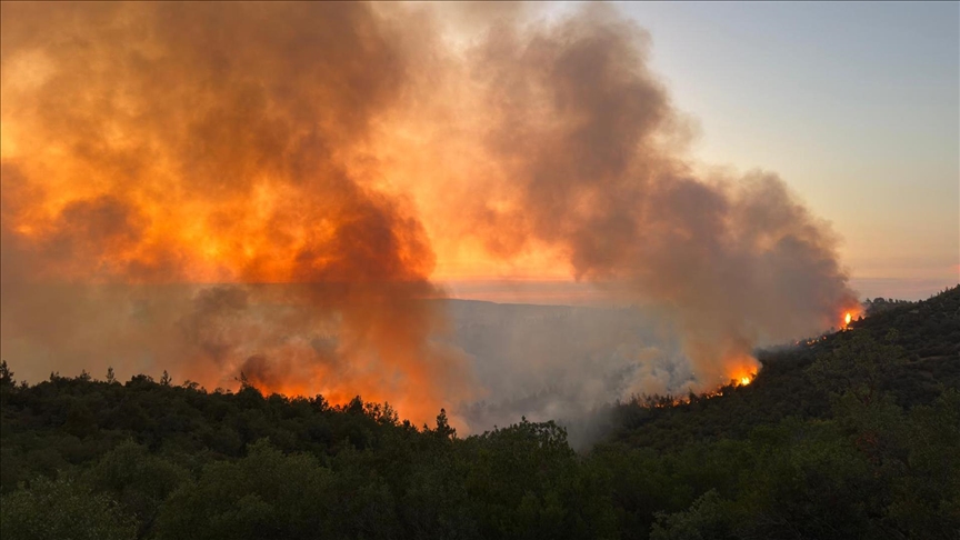 Orman Genel Müdürlüğü, 19-25 Temmuz arasında hava sıcaklıklarının 6 ila