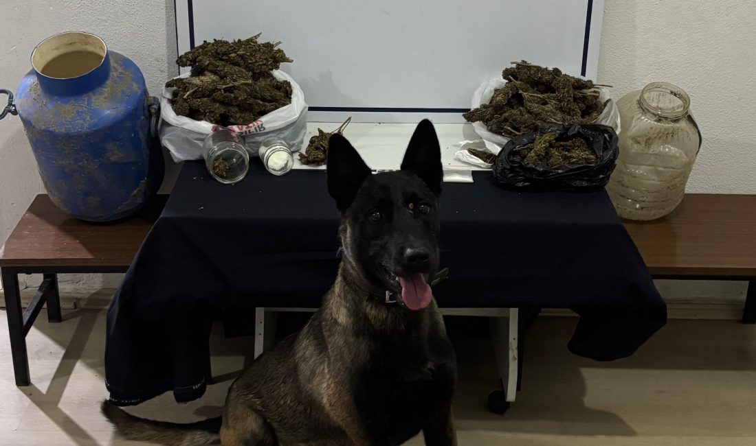 Balıkesir’de uyuşturucu operasyonu: 3 gözaltı Balıkesir’in Gönen ilçesinde düzenlenen operasyonda esrar, metamfetamin, sentetik ecza hap