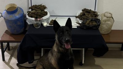 Balıkesir’in Gönen ilçesinde düzenlenen operasyonda esrar, metamfetamin, sentetik ecza hap