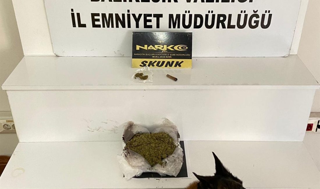 Balıkesir'de Narkotik ekiplerinin düzenlediği operasyonda 485 gram skunk maddesi ele