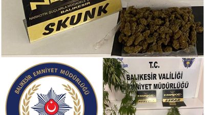 Balıkesir’de düzenlenen operasyonda 249 gram skunk ve 5 kök kenevir