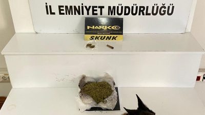 Balıkesir'de Narkotik ekiplerinin düzenlediği operasyonda 485 gram skunk maddesi ele