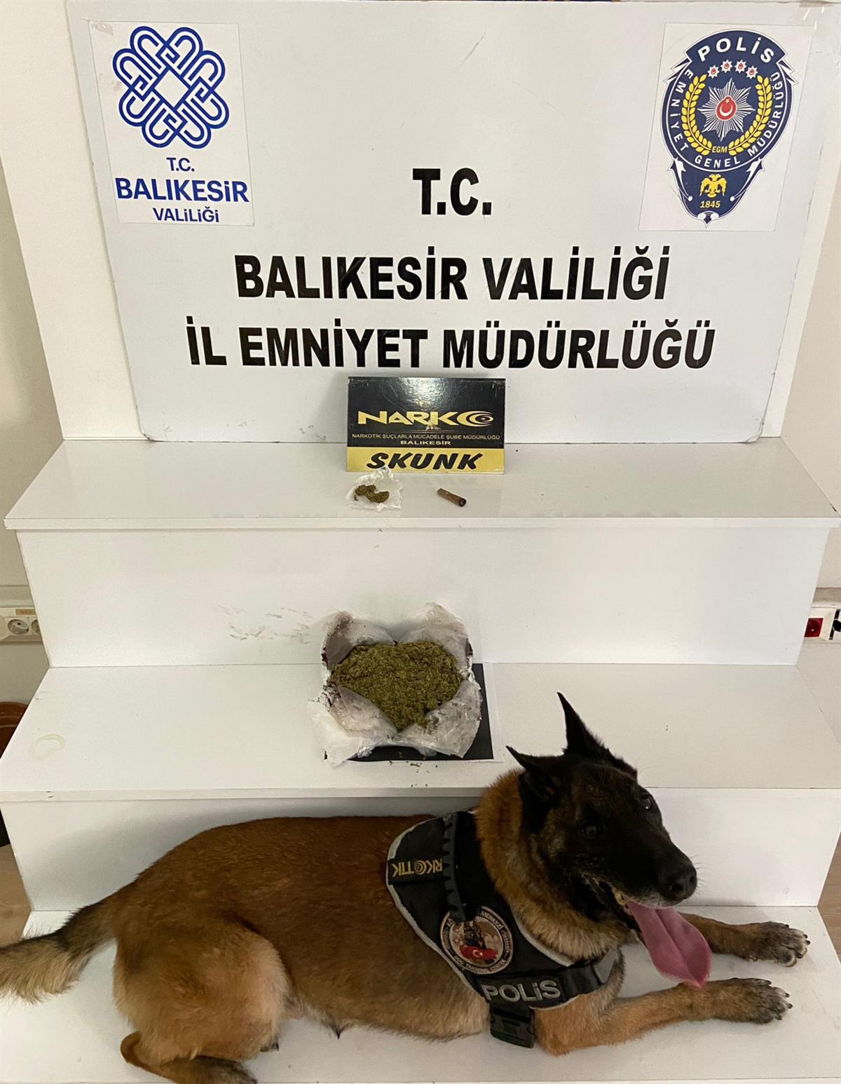 Balıkesir'de Narkotik ekiplerinin düzenlediği operasyonda 485 gram skunk maddesi ele