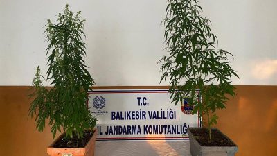 Balıkesir İl Jandarma Komutanlığı, 4-10 Ağustos’ta 6 ilçede düzenlediği operasyonlarda