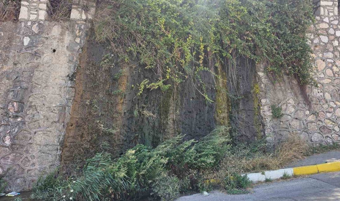 Bandırma’da boşa akan su tepki çekiyor Bandırma’da son haftalarda artan sıcaklıklar ve beklenen yağışların gelmemesi, bölgede