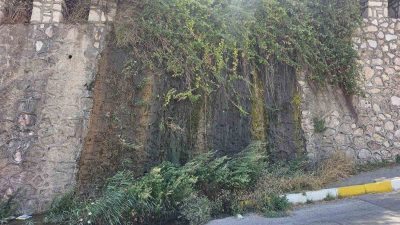 Bandırma’da son haftalarda artan sıcaklıklar ve beklenen yağışların gelmemesi, bölgede