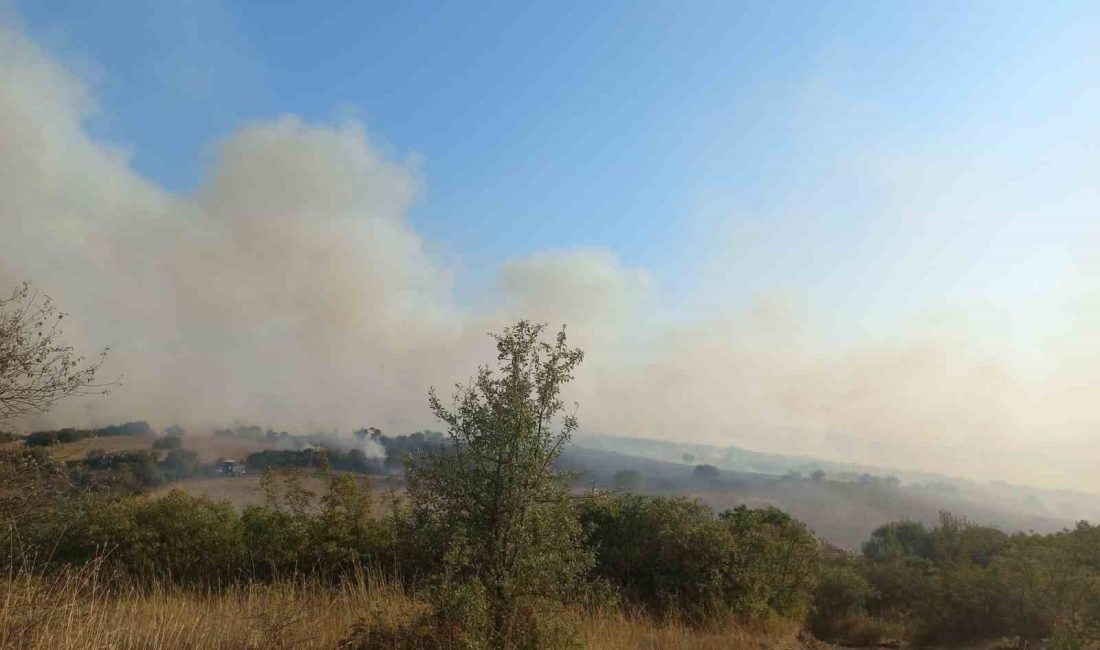 Balıkesir’in Bigadiç ilçesinde arazilerin bulunduğu alanda yangın çıktı.