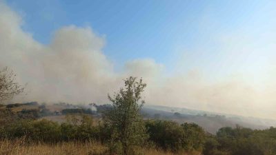 Balıkesir’in Bigadiç ilçesinde arazilerin bulunduğu alanda yangın çıktı.