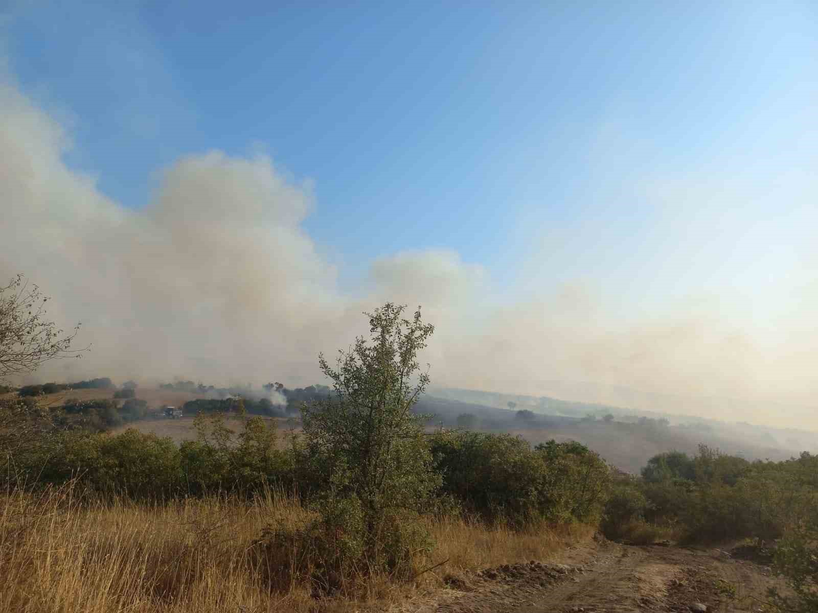 Balıkesir’in Bigadiç ilçesinde arazilerin bulunduğu alanda yangın çıktı.
