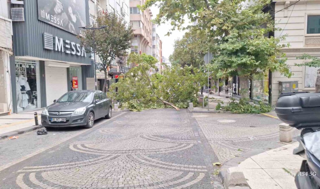 Balıkesir’in Bandırma ilçesinde gece saatlerinde fırtına ve sağanak yağış etkili