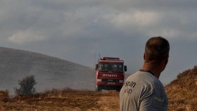 Marmara Denizi’nde bulunan Paşalimanı Adası’nda sabah saatlerinde yangın başladı. Sadece