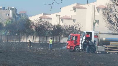 Balıkesir’in Burhaniye ilçesi Ören sahilinde çıkan ot yangını korkuya neden