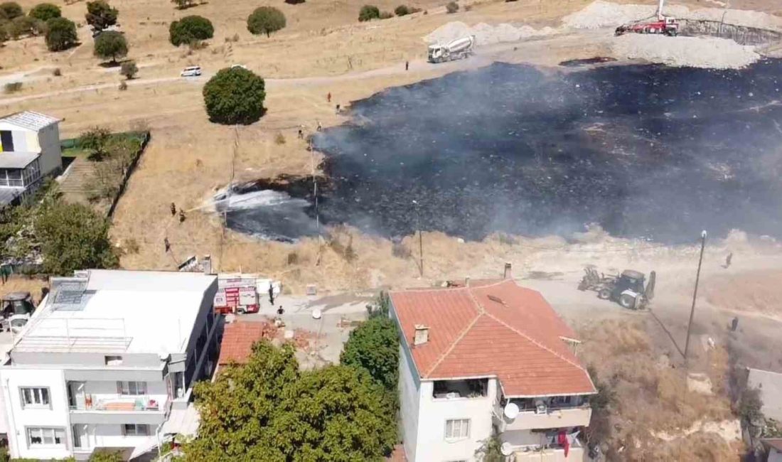 Balıkesir’de otluk alanda çıkan ot yangını kısa sürede kontrol altına