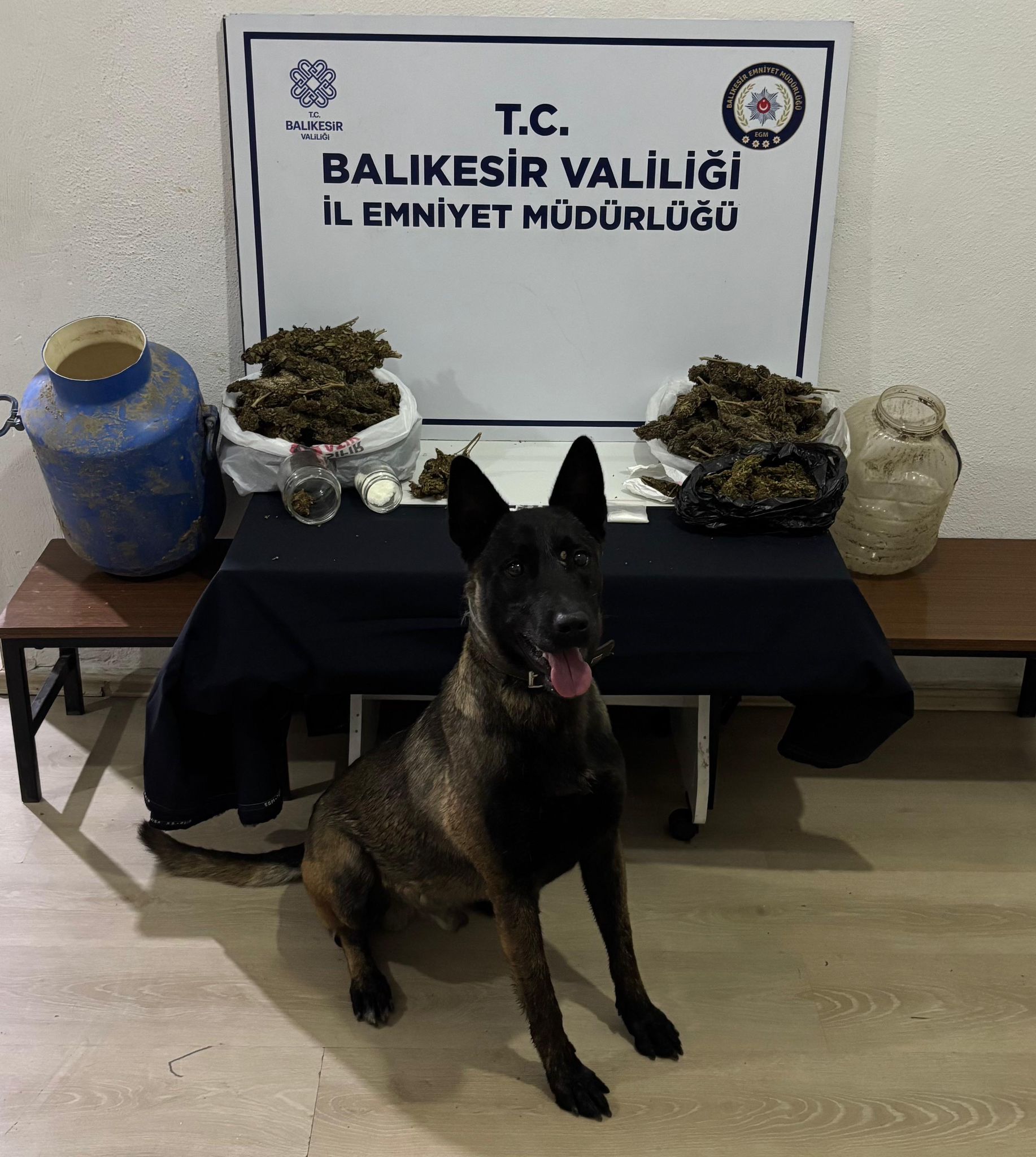 Balıkesir’in Gönen ilçesinde düzenlenen operasyonda esrar, metamfetamin, sentetik ecza hap