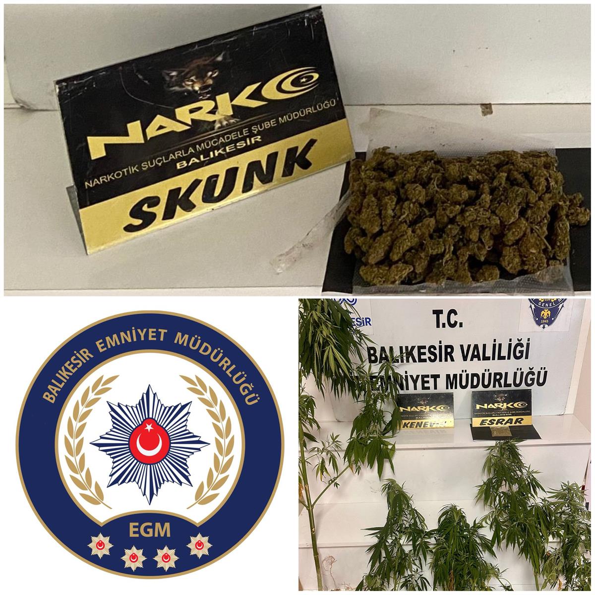Balıkesir’de düzenlenen operasyonda 249 gram skunk ve 5 kök kenevir