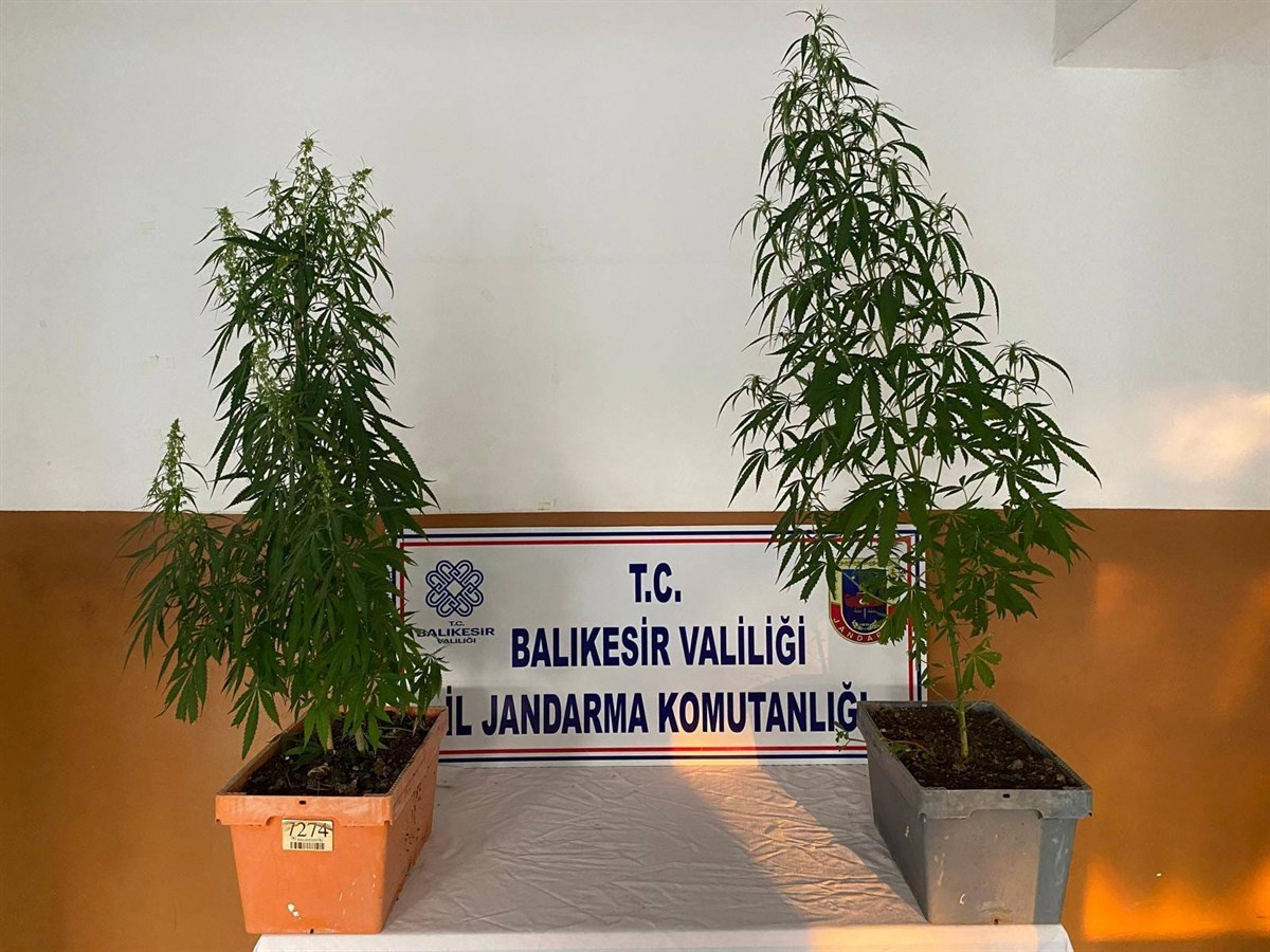 Balıkesir İl Jandarma Komutanlığı, 4-10 Ağustos’ta 6 ilçede düzenlediği operasyonlarda