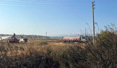 Balıkesir’in Gömeç ilçesinde çıkan arazi yangını kontrol altına alındı.