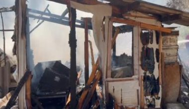 Balıkesir’in Gönen ilçesine bağlı Tırnova Mahallesi’nde, mezarlık arkasındaki çamlık alanda