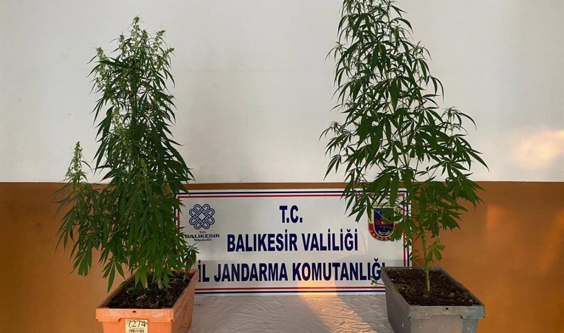 Balıkesir İl Jandarma Komutanlığı, 4-10 Ağustos’ta 6 ilçede düzenlediği operasyonlarda