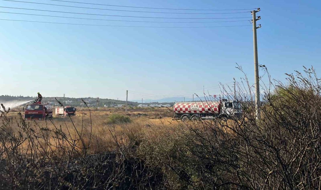 Balıkesir’in Gömeç ilçesinde çıkan arazi yangını kontrol altına alındı.