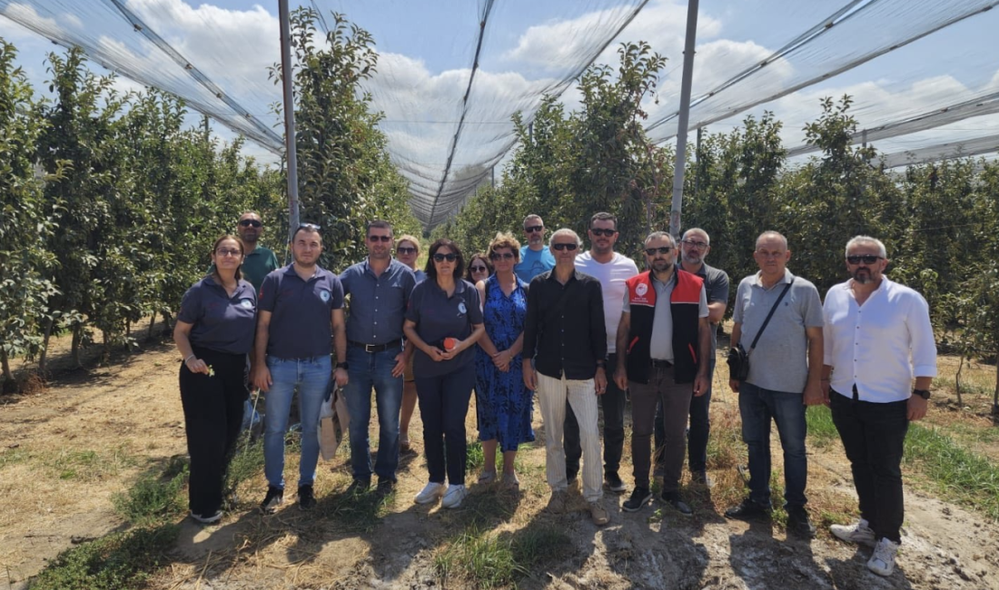 Balıkesir’in Gönen ilçesinde, kahverengi kokarca zararlısına karşı farkındalık oluşturmak ve