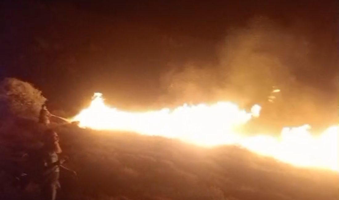 Balıkesir’in Marmara ilçesine bağlı Avşa Mahallesi’nde çıkan arazi yangını, ekiplerin